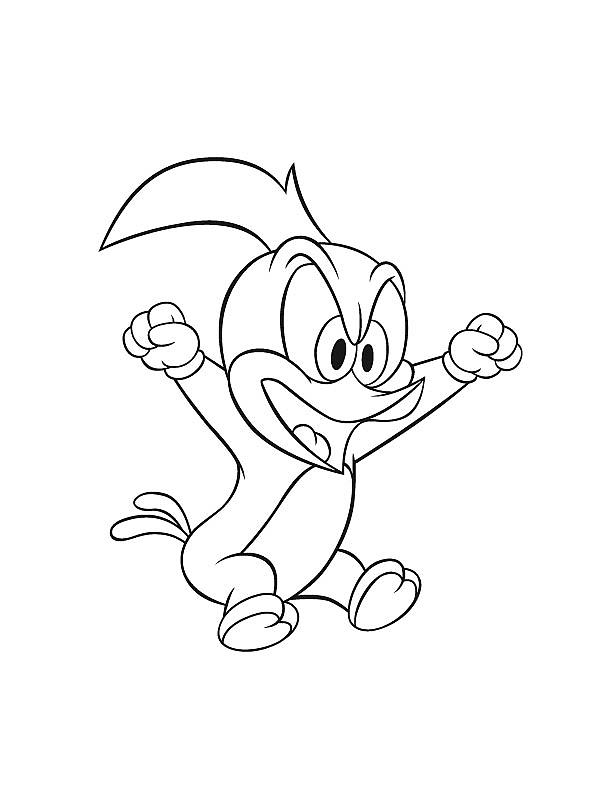 Woody Woodpecker kolorowanki